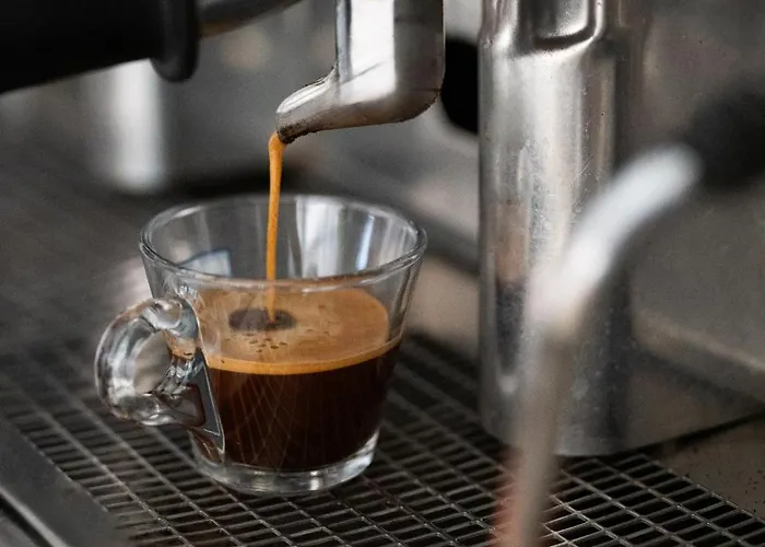 酒店 Marco 丽都迪萨维奥